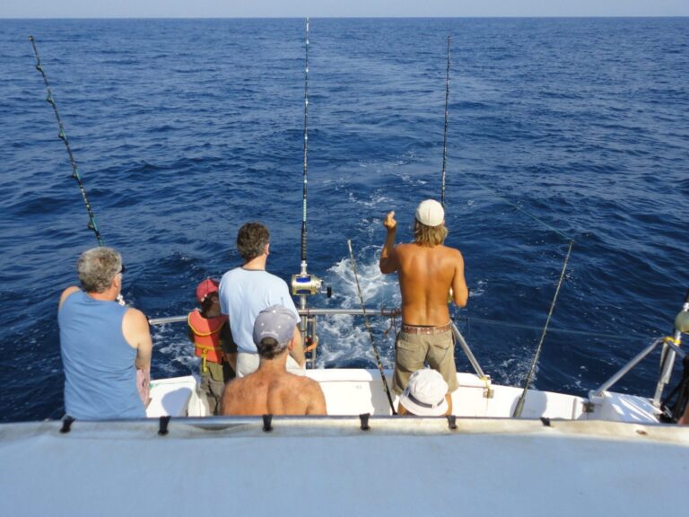 From Vilamoura Reef Fishing 5h.